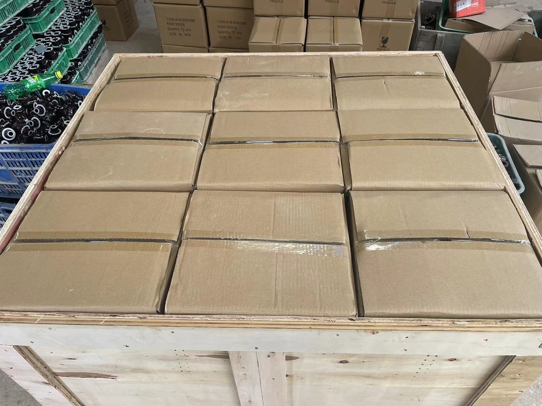 Van het de Transformatorporselein van DIN Standaard1kv 250A de Ringscd70mm OEM